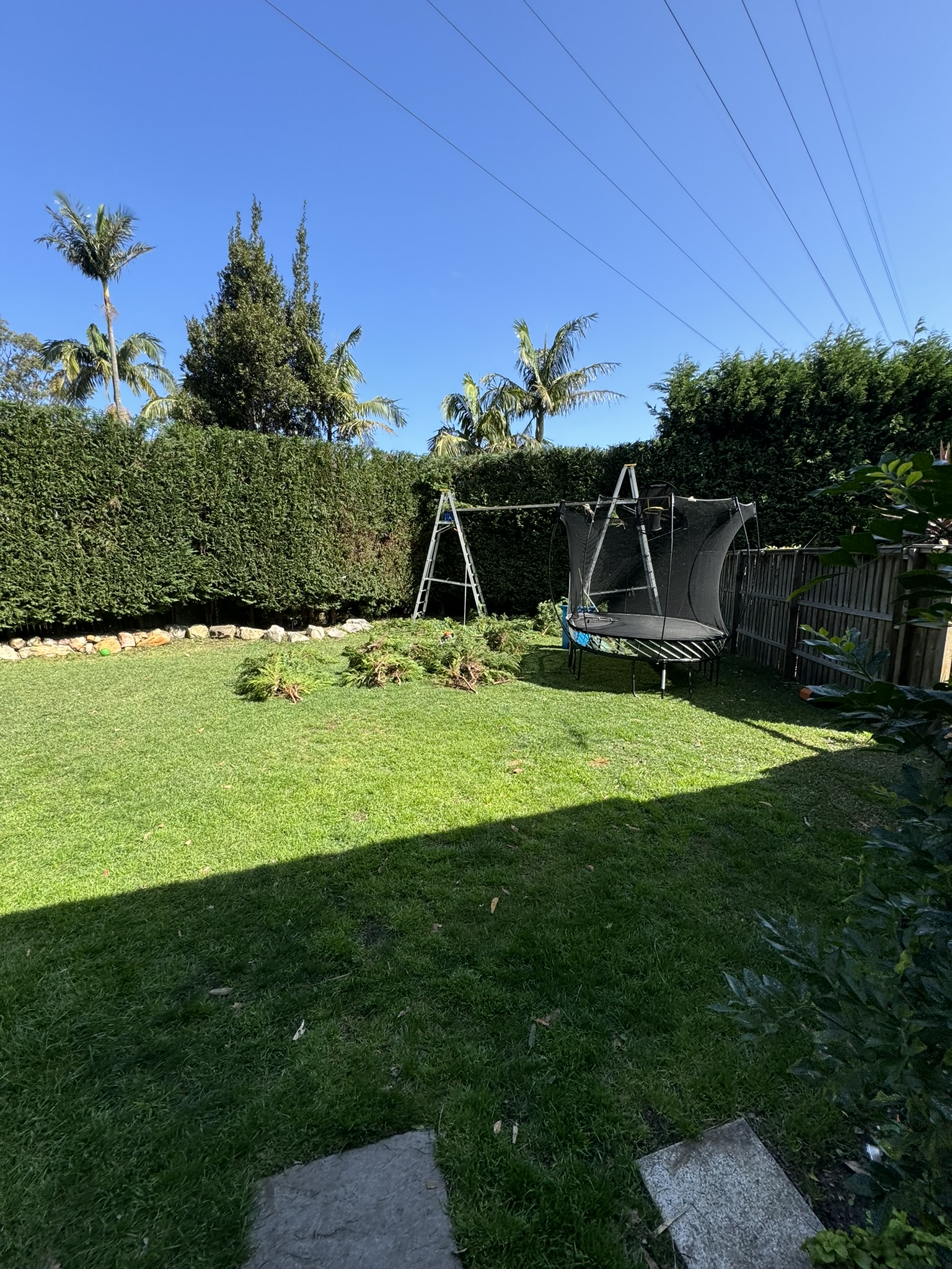 Clipped boundary hedge, Cronulla